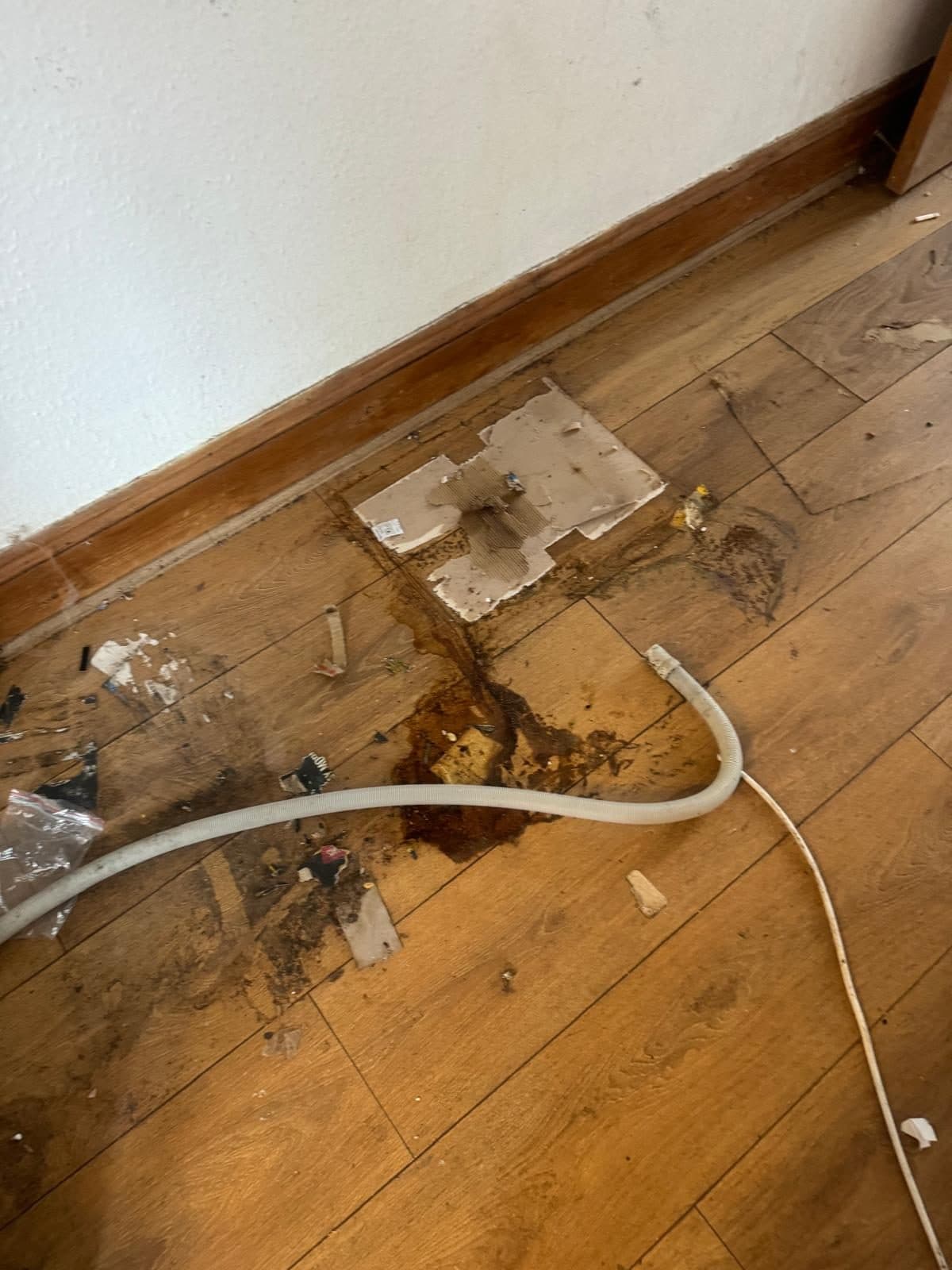Laminate floor with spilled debris, stains and a loose hose