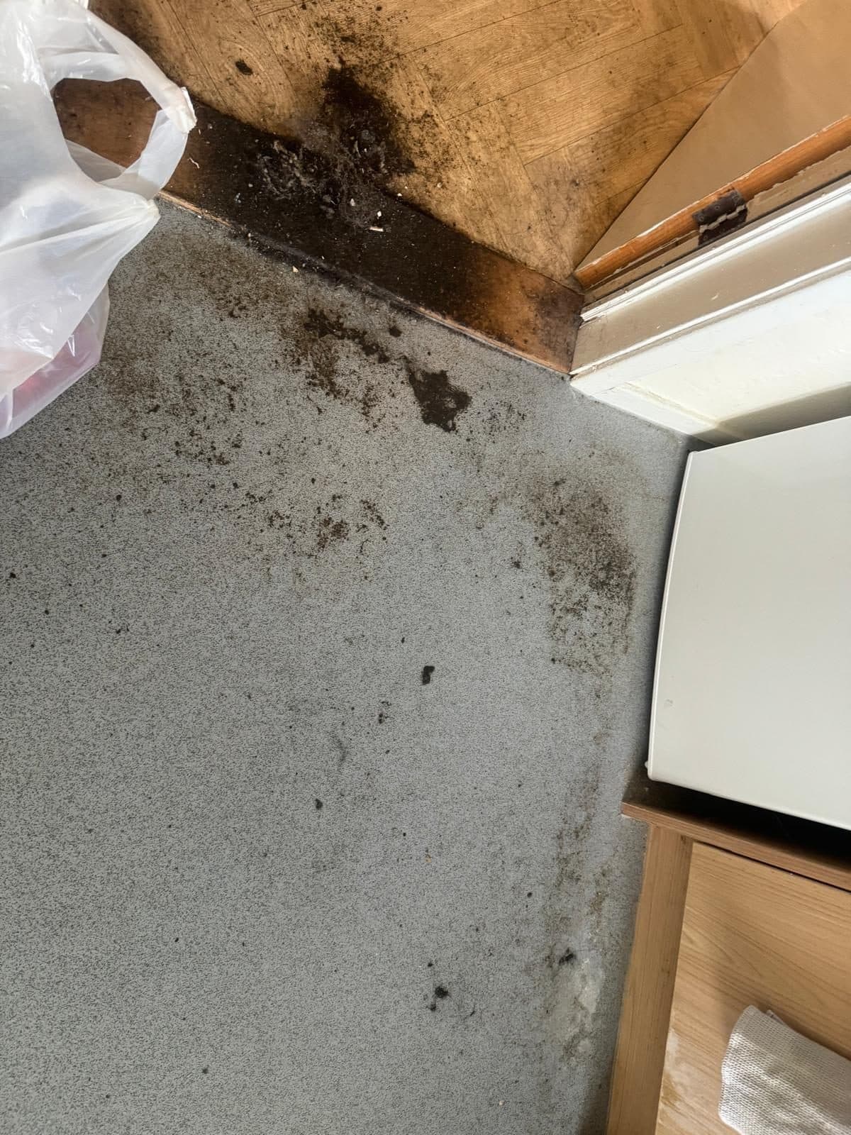 Dirt and debris gathered in a doorway corner