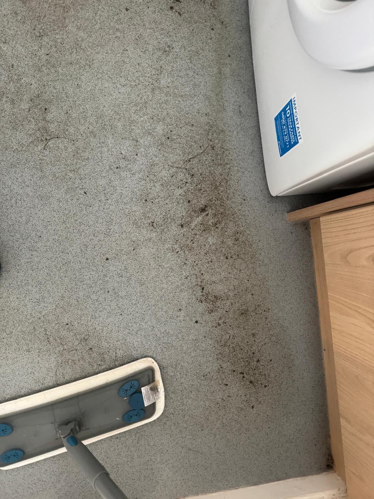 Grey vinyl kitchen floor with dark grime beside the washing machine
